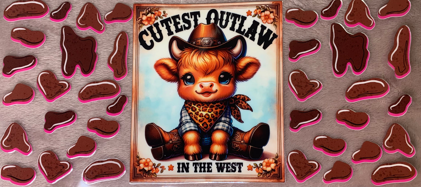 Cutest Outlaw In The West