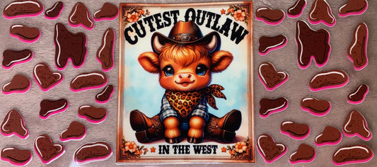 Cutest Outlaw In The West