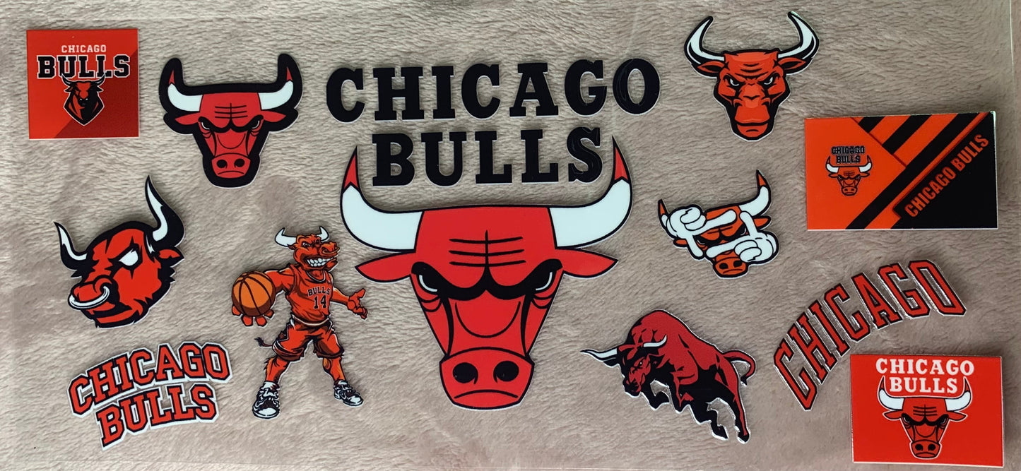 Chicago Bulls